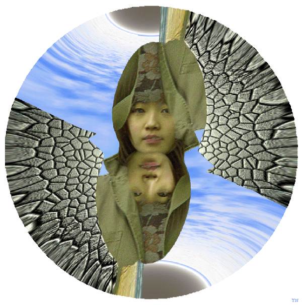 Beyond the Wall / Au del du Mur / Ms all de la Pared / ber der Wand Hinaus - an art work by T Newfields