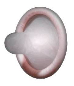 Left frame to _Condom Poem_