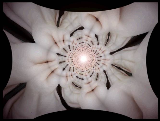 Flesh Point, Point De Peau, Punto De la Carne, Fleisch Punkt - an art work by T Newfields